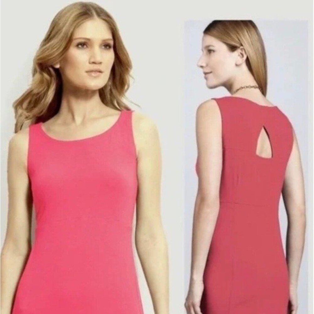 NWT Eileen Fisher Wide Keyhole Oval Dress in Strawberry (Pink Red Color) Size M